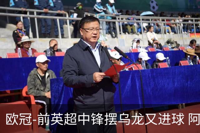欧冠-前英超中锋摆乌龙又进球 阿贾克斯2-2本菲卡