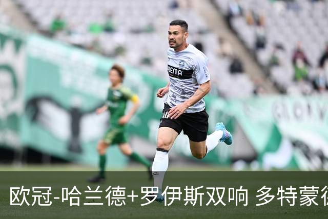 欧冠-哈兰德+罗伊斯双响 多特蒙德5-0大胜进欧联