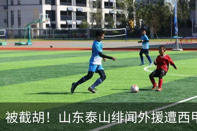 被截胡！山东泰山绯闻外援遭西甲豪门争抢，夏窗换外援又泡汤了