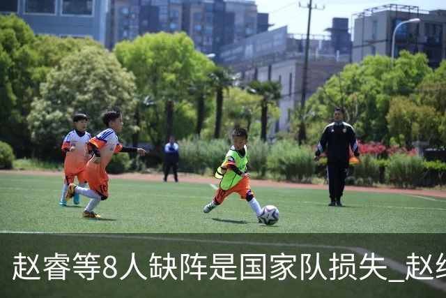赵睿等8人缺阵是国家队损失 赵继伟：人员搭配是难题