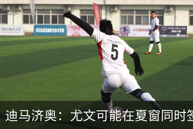 迪马济奥：尤文可能在夏窗同时签下卢库米和穆哈雷莫维奇