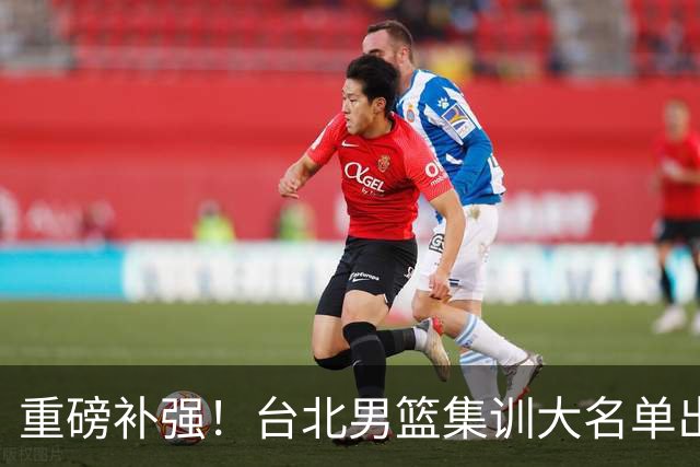 重磅补强！台北男篮集训大名单出炉，双归化压阵，中国男篮迎硬仗