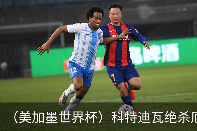 （美加墨世界杯）科特迪瓦绝杀厄瓜多尔 瑞典5:1大胜突尼斯