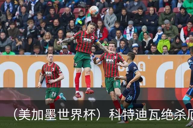 （美加墨世界杯）科特迪瓦绝杀厄瓜多尔 瑞典5:1大胜突尼斯